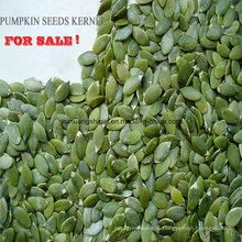 Pumpkin Seed Kernels for Human Consumption